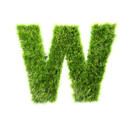 Grass letter - wの写真素材