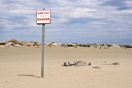 3d picture of a skeleton in the sandの写真素材