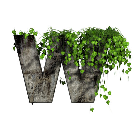 green ivy on 3d stone letter - wの写真素材