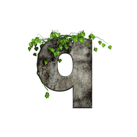 green ivy on 3d stone letter - qの写真素材