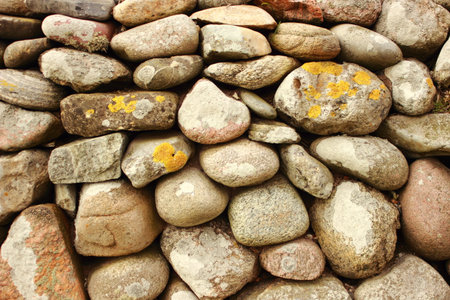 Solid  stonewall with round stones and algaの写真素材