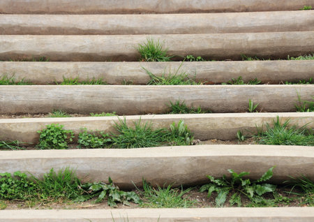 Wooden stair outside with weed between stepsの写真素材