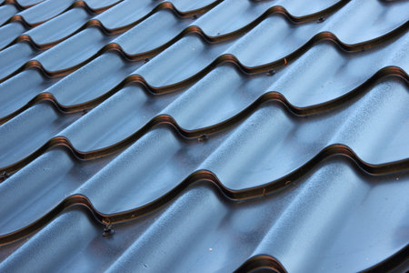 Perspective of curved black metal roofの写真素材