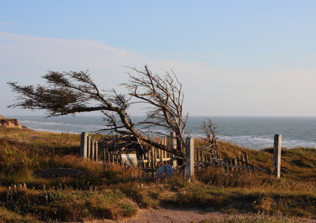 Graveyard at Edge of Cliff with Windy Ocean Backgroundの写真素材
