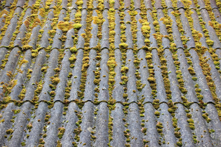 Old Cement Shelter with Curved Roof and Green Alga Backgroundの写真素材