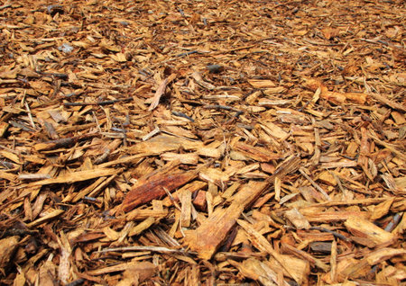 Fresh Brown Wood Chips with Endless Perspective Background