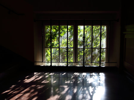Window with Light Reflection on Floor and Growing Weed in Backlightの写真素材