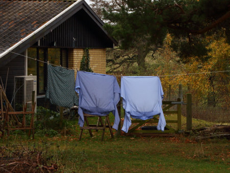 Fresh Laundry Shirts Hanging on Line in Backyard Gardenの写真素材