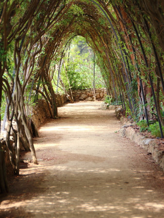Tranquil Path under Pergola with Braid Branches. Nice city scene.の写真素材