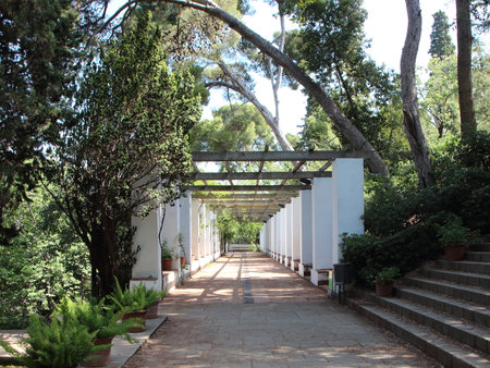 Outdoor Green Pergola Path with White Walls and Old Stairs. Tranquil scene.の写真素材