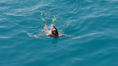 snorkeling with dolphinsの写真素材