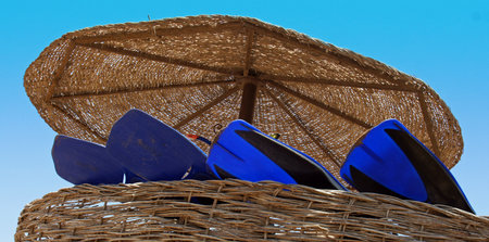 at the beachの写真素材