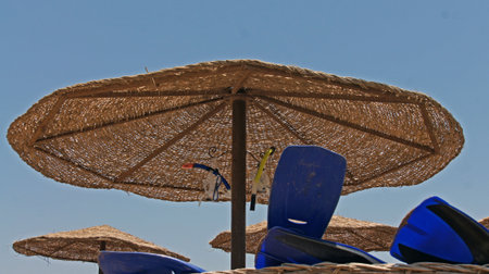 at the beachの写真素材