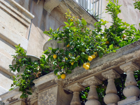 sunny taormina on sicily island in lateautumnの写真素材