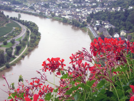 impressions from mosel river and region