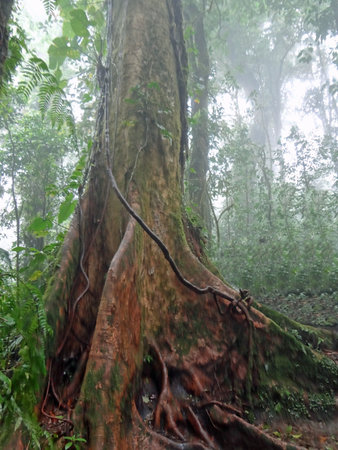 costa rica during summer 2012の写真素材