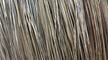 closeup from weathered wooden surfaceの写真素材