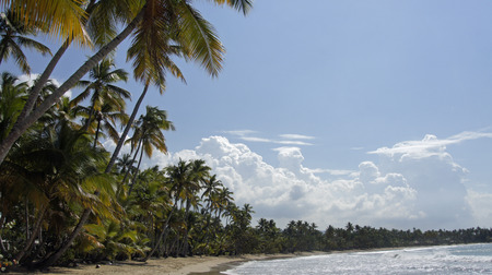caribbean beach playa bonita in dominican republic