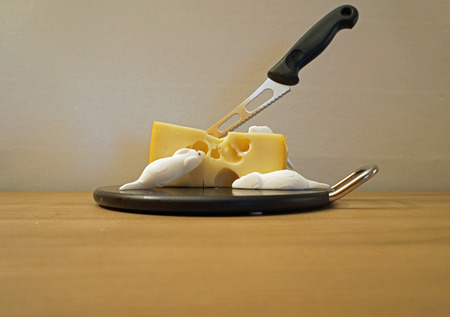 fresh cheese with knife and mouseの写真素材