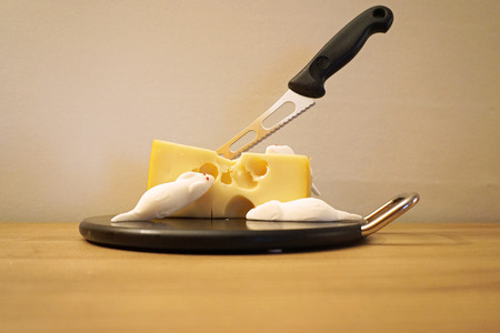fresh cheese with knife and mouseの写真素材