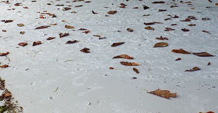 anse lazio on praslin islandの写真素材