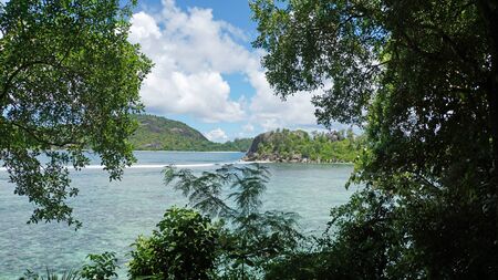 wild green tropical coast of mahe islandの写真素材
