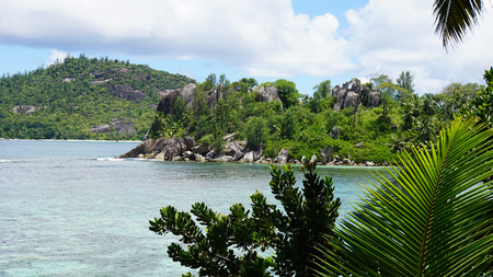 wild green tropical coast of mahe islandの写真素材