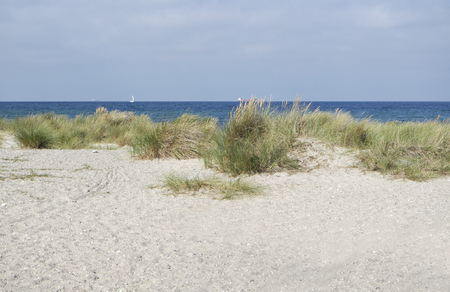 sand duneの写真素材