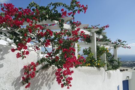 Santorini in Greeceの写真素材
