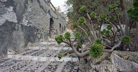 Santorini in autumnの写真素材