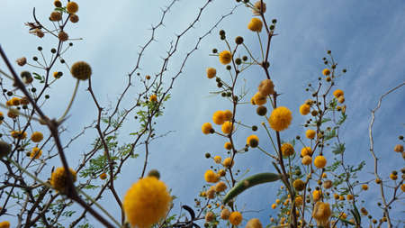 santorini in autumnの写真素材