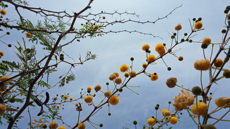 santorini in autumnの写真素材
