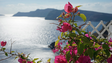 santorini in autumnの写真素材