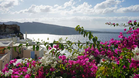 santorini in autumnの写真素材