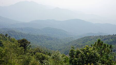 amazing green landscape in doi inthanon national park
