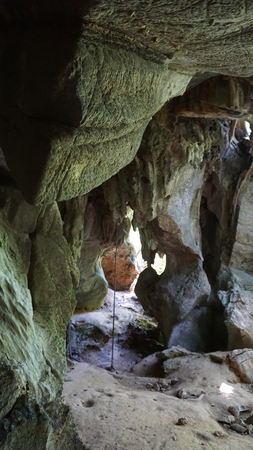 green rainforest on ko lanta island in thailand