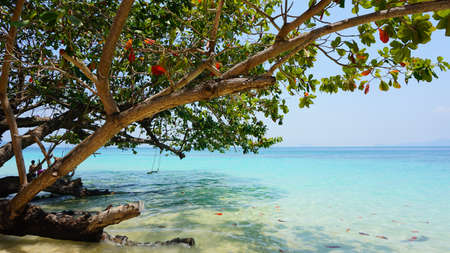 amazing natural green coast of ko lanta in thailandの写真素材