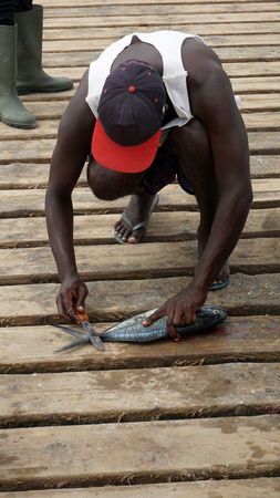fresh fish from cape verdenの写真素材