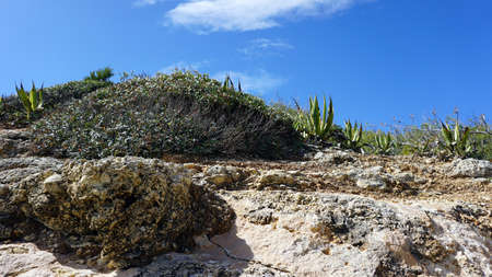 marinha beach on the algarve coast in portugalの写真素材