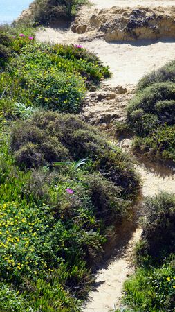 green coast of the algarve near evaristoの写真素材