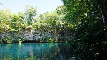 tropical lagoon in the dominican republic with zip lineの写真素材