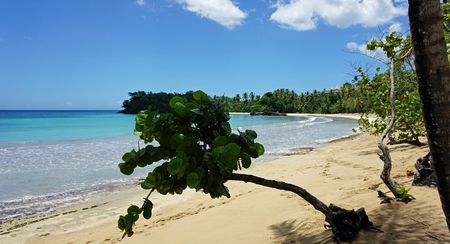 Bonita beach on samana in the dominican republicの写真素材