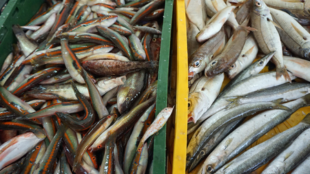 traditional fish market in split in croatiaの写真素材