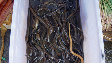 fresh food from a local market in phnom penhの写真素材