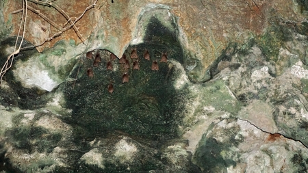 hindu cave temple of nyali in kenya