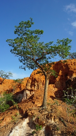 Hells Kitchen Canyon of Marafa in Keynaの写真素材