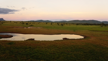 scenic landscape around a water whole in kenyan national parkの写真素材