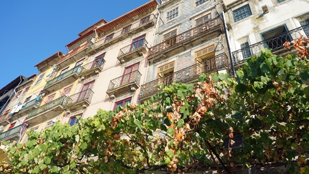 colorful traditional houses in porto in portugalの写真素材