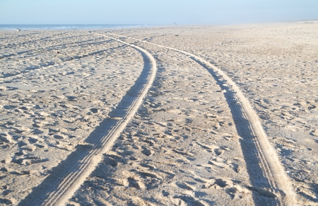 scenic landscape with the sand dunes of portugalの写真素材
