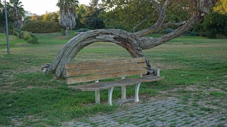 lisbon river side with a rustic park bench